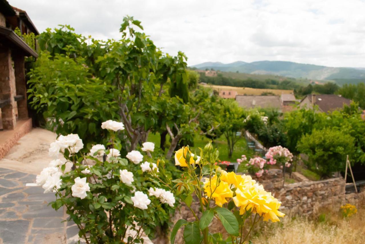 Casa Rural, Spa Y Restaurante El Huerto Del Abuelo Almiruete 외부 사진